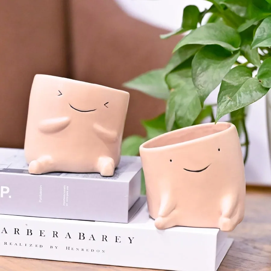 

2 Pack Cute Plant Pots 4 inch Fun Planters Small Succulent Pot with Drainage Hole Head Planters Plant Lover Gift Windowsill Des