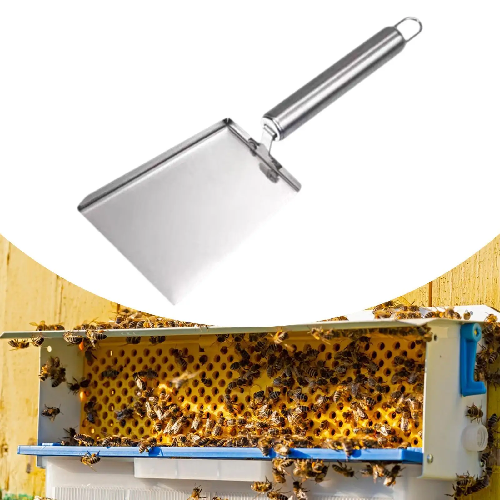 Pala per alveare Pulizia multifunzionale Apiarist Bee Alveare Frame Hand
