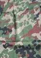JSDF