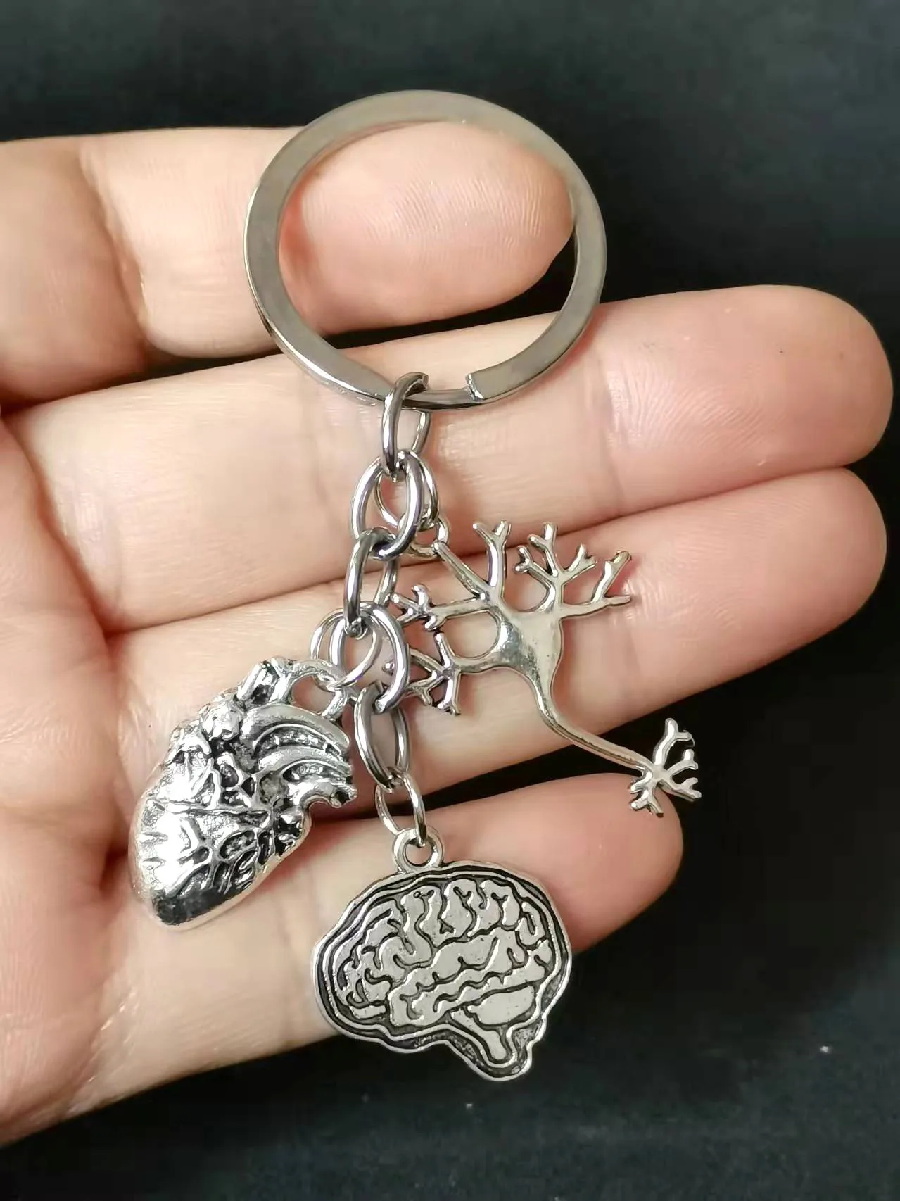 1 Piece Keychain Medical Anatomy Key Brain Heart Nerve Cell Shaped Keychain Doctor And Nurse Bag Chain Jewelry Gift