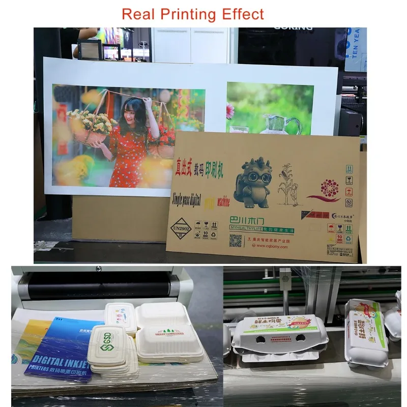 Deluxe   Logo Fully Automatic Print Pass Printer, High Speed Feeder with 303mm Print Width  A4 Nozzle