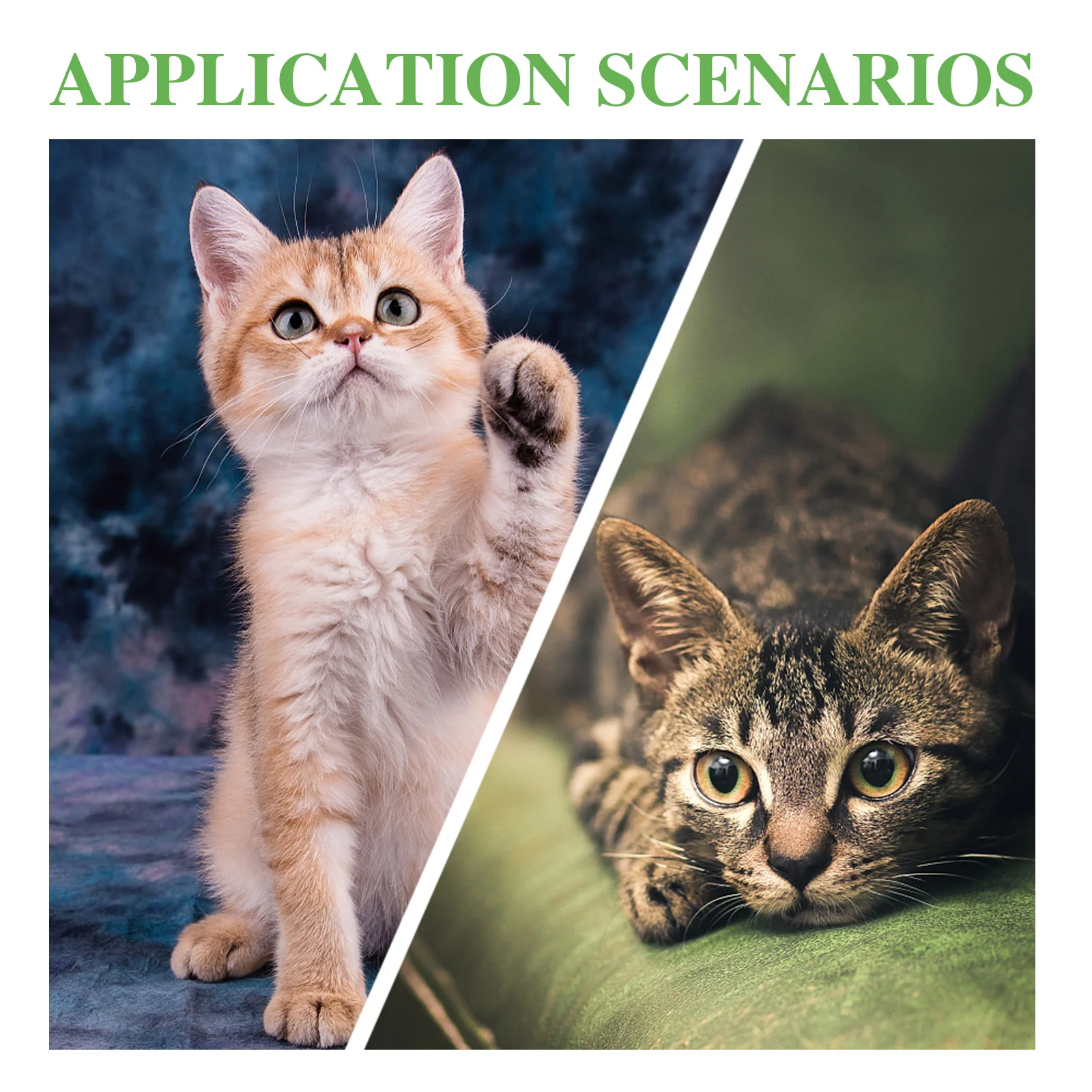 

2Sets Pet Collar Bells Copper Loud Dog Training Cat Pendant Keychain Accessories DIY Charm Dog Collar Bell Key Ring Bell