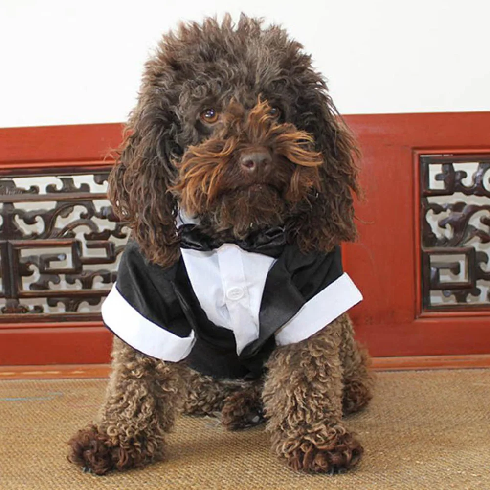 

Dress Coat Petjumpsuit Clothes Puppy Cotton Jacket Chihuahua Outfits