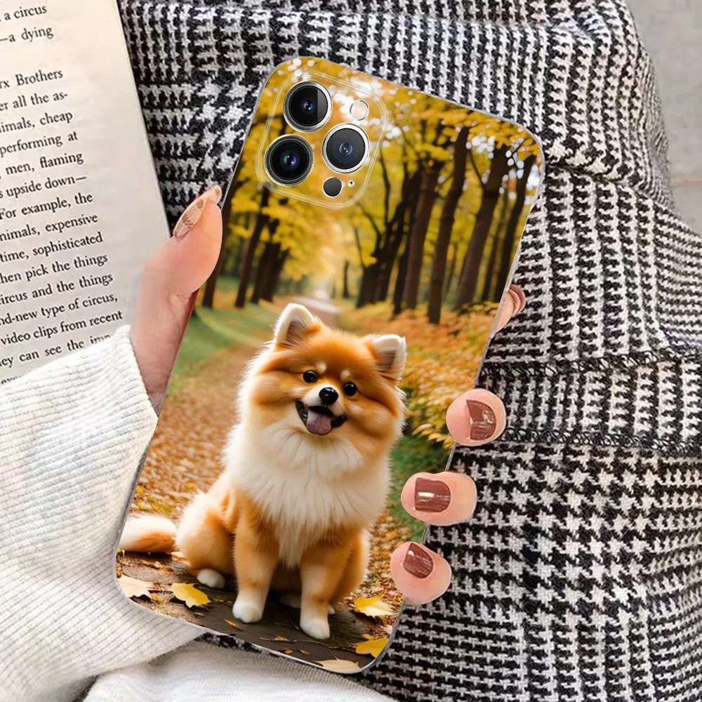 Pomeranian Dogs Phone Case For IPhone 15 14 11 12 13 Mini Pro XS Max Cover 6 7 8 Plus X XR SE 2020 Funda Shell