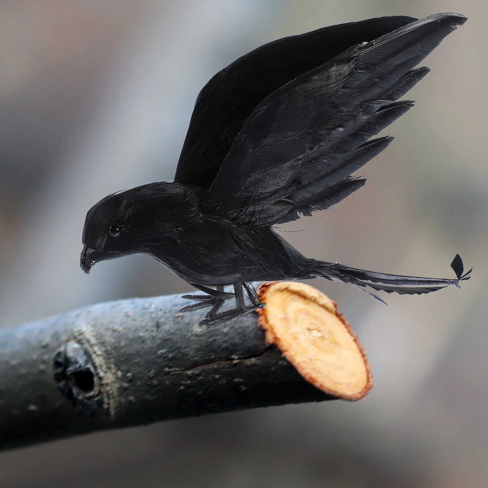 

Crow Decor Lightweight Safe Material Practical Creative Appearance Realistic Halloween Scene Accessory