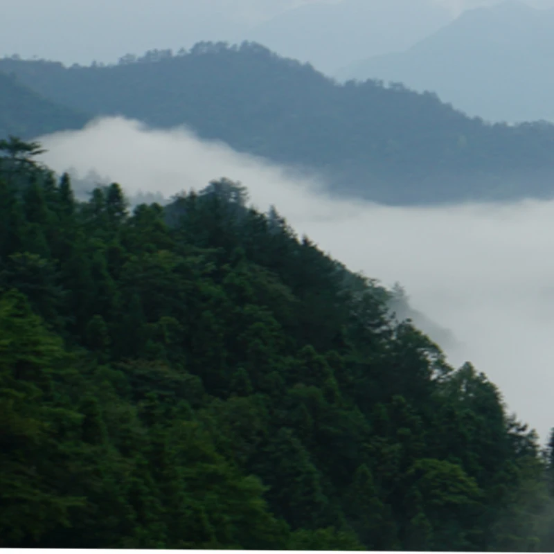 

HAKRC F405 V2 F4 Мини-контроллер полета Dual BEC 35/40/60/65A 4in1 ESC Stack DShot150/300/600/1200 ШИМ для RC FPV Racing Drone