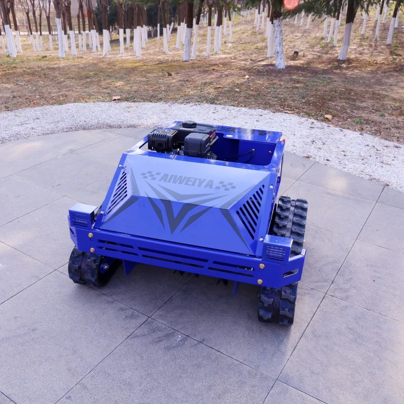 Maßgeschneiderter robuster landwirtschaftlicher Rasenmäher – professionelles Raupenmodell mit 550 mm Schnittbreite