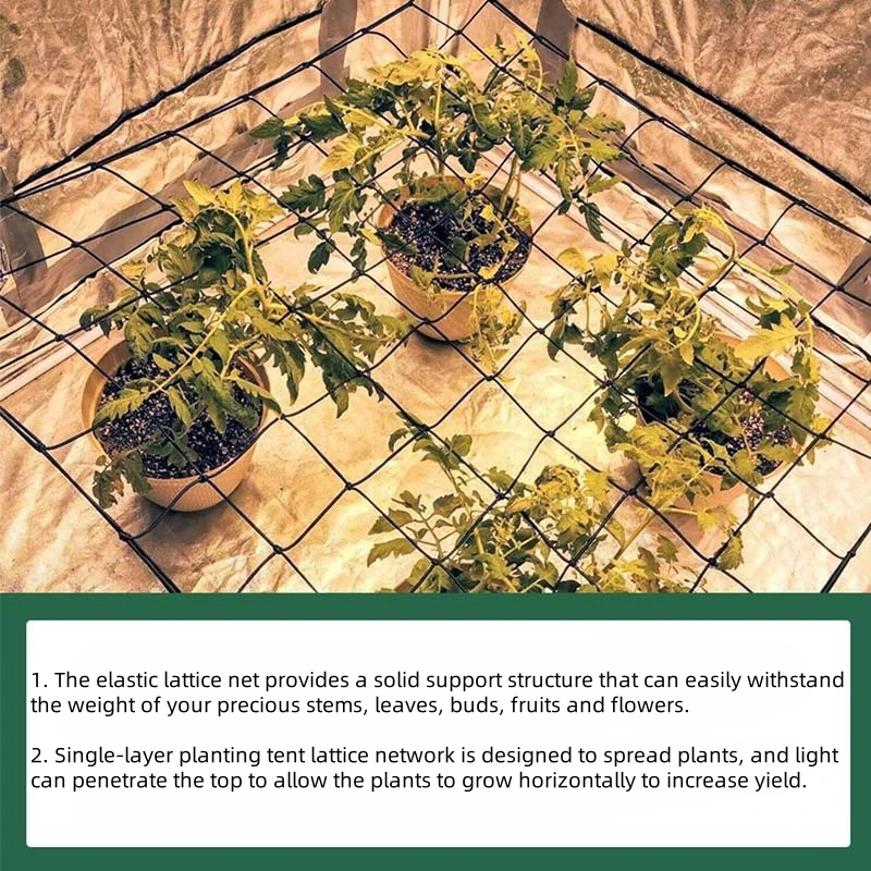 Plant Tent Press Net Plant Elastic Net Branch Net Vine Support Net Uniform Light Receiving Net Garden Gardening