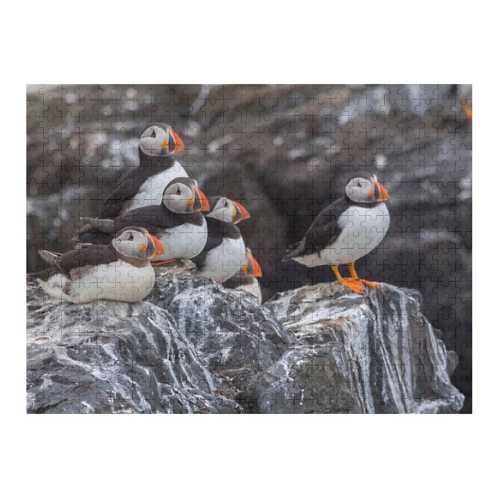 

Beautiful Wildlife ocean puffin birds Jigsaw Puzzle Personalized Gifts Animal Novel Toys For Children 2022 Puzzle