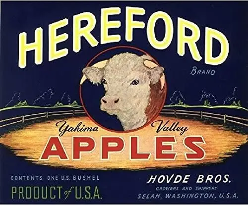 M1,Tymall Personali… - image