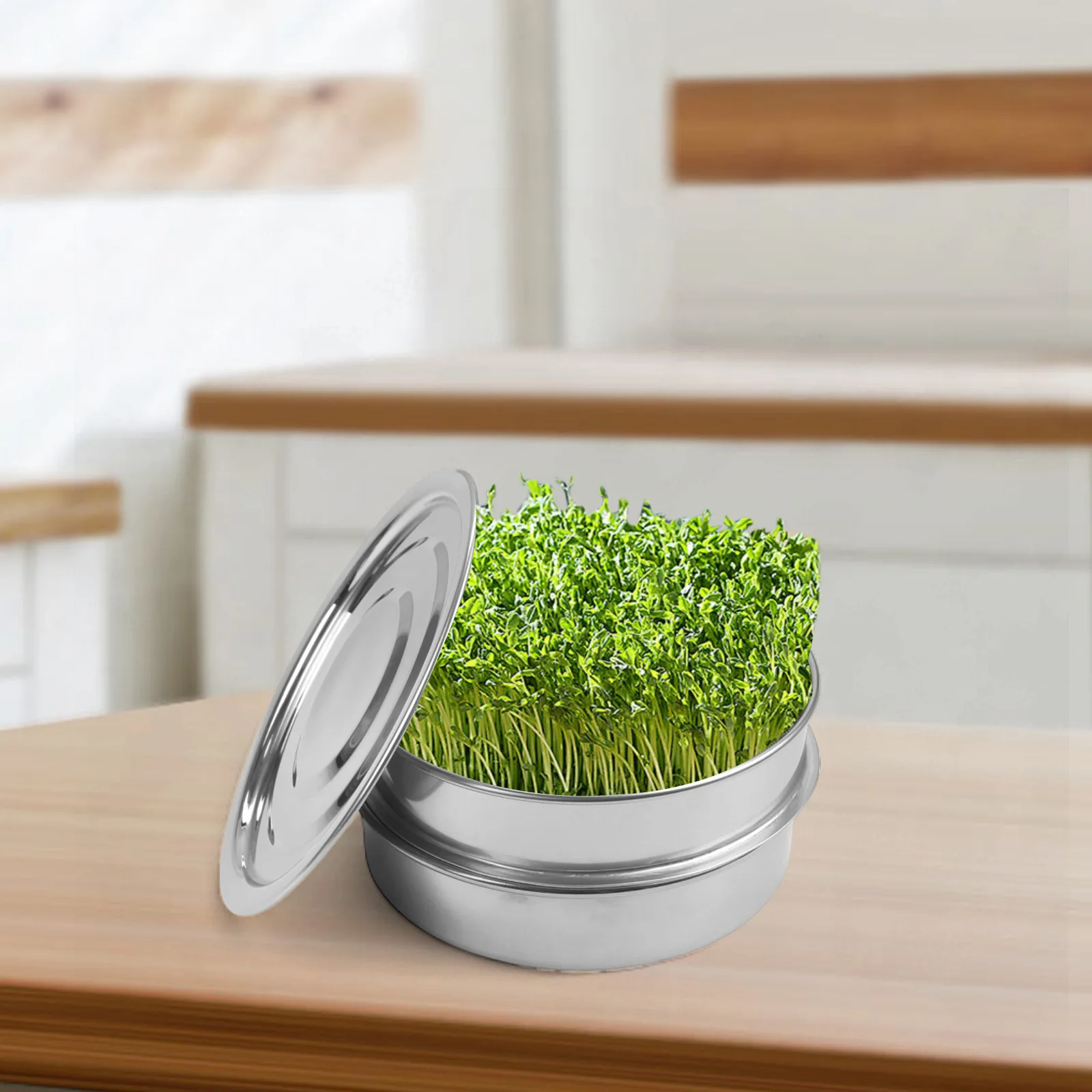 

Sprouting Tray Efficient Drainage System As Shown Soil-Free Germination Clear Instructions Included Innovative 2 3-Tier Design