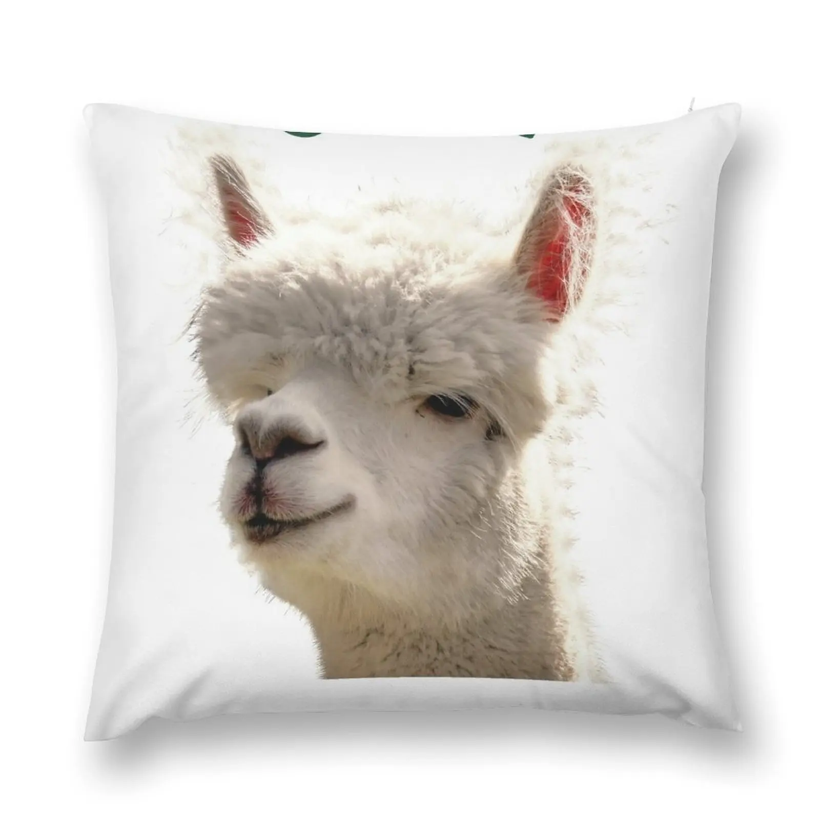 

Alpaka Lama - SEXY AS EVER Classic Throw Pillow Rectangular Cushion Cover Pillowcases Decorative Cover For Living Room pillow