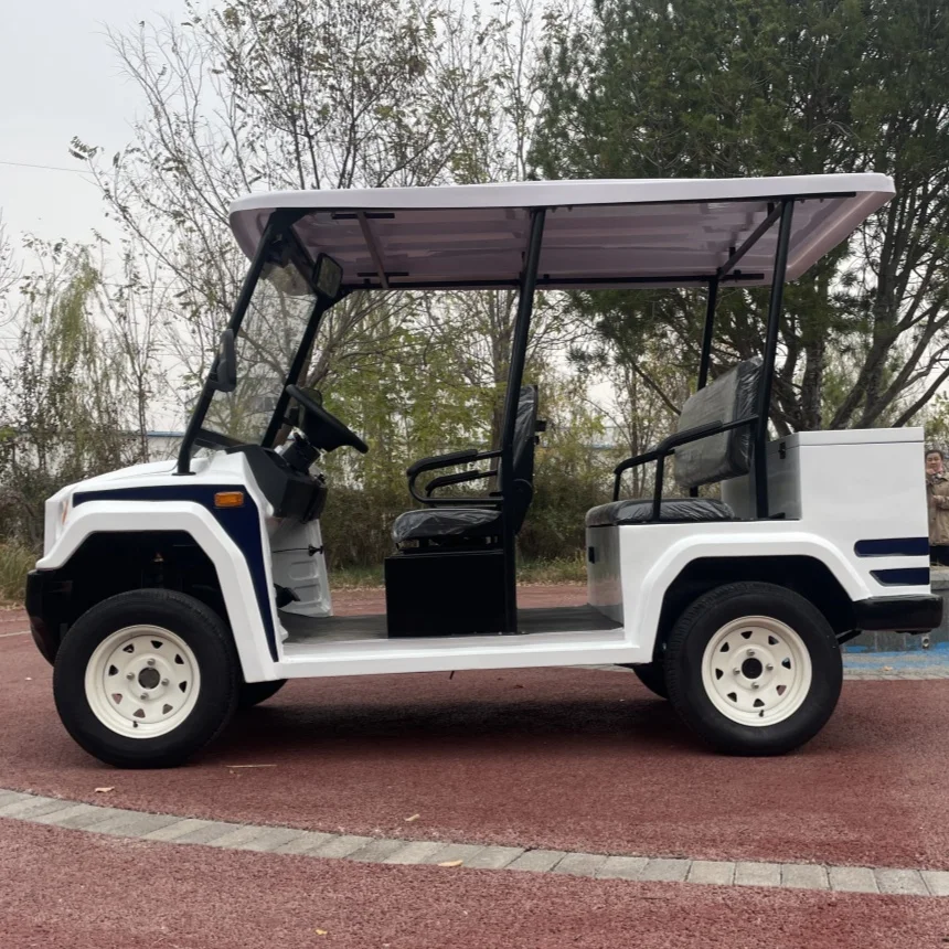 Brand Electric Golf Cart 2/4/6 Seater Multicolor Light Flashing Electric Golf Cart With Rear Cargo Box 14-Inch Off-Road Tires