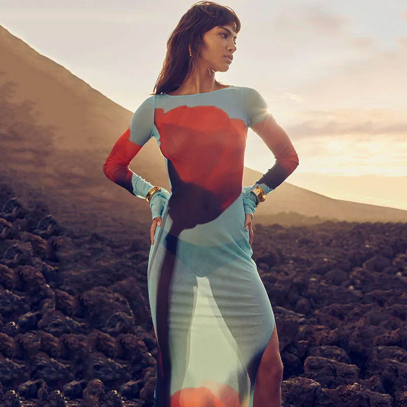 NOVEDAD DE VERANO 2025 vestido largo estampado con cuello redondo para mujer, vestido largo sexi de malla con abertura transparente a la moda