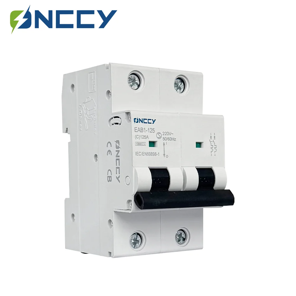 

ONCCY 2P Автоматический выключатель AC MCB 125A 100A 80A C Curve 6KA, автоматический выключатель переменного тока 220 В