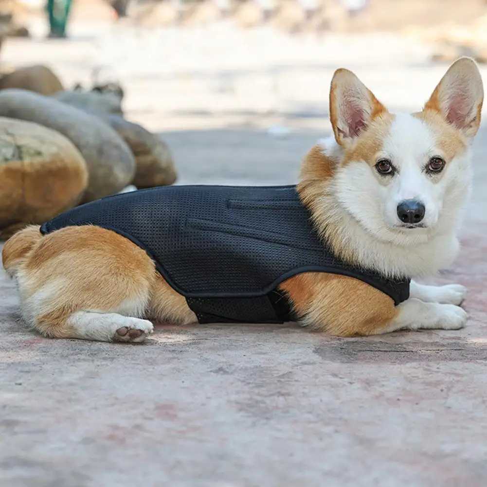 Arnês respirável macio para alívio da dor, Colete para cão de estimação, Suporte de disco intermediário, Cirurgia da Coluna