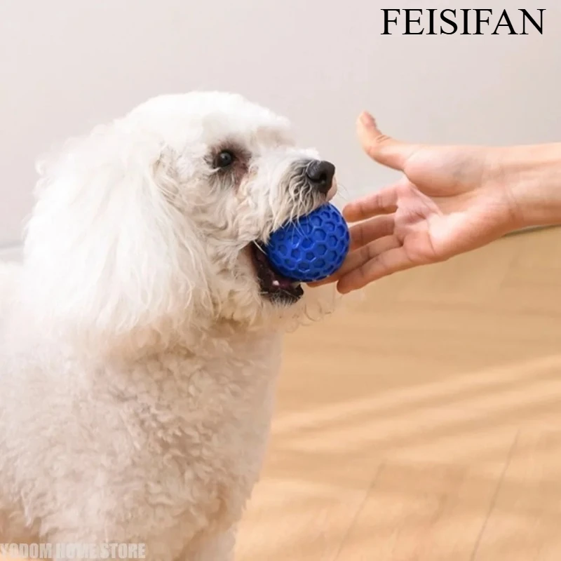 

Hexagonal Beef Flavor Rubber Dog Chew Ball, Indestructible Squeaky Dental Toy for Aggressive Chewers