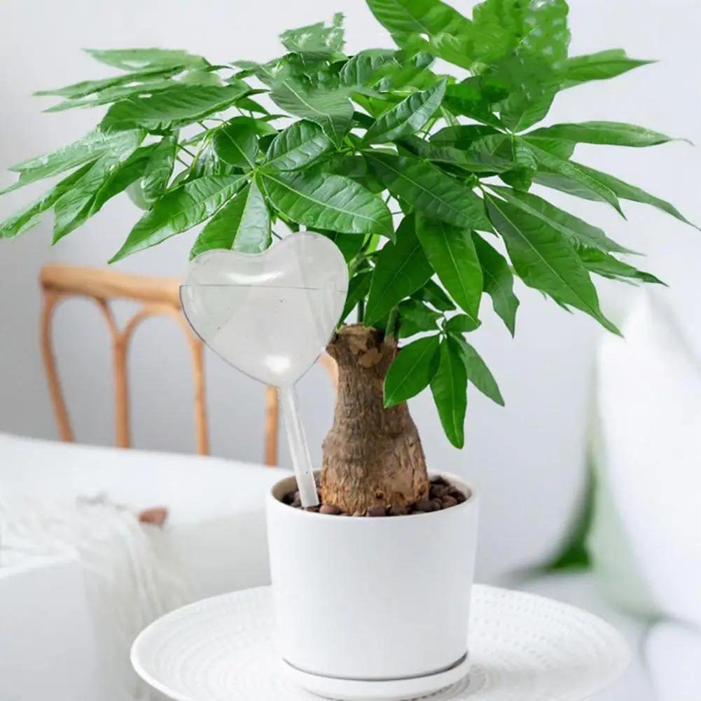 Self Watering Bulbs for Vacation Heart Shape Watering Bulb Planter Insert Self Watering Device for Houseplants Slow Release