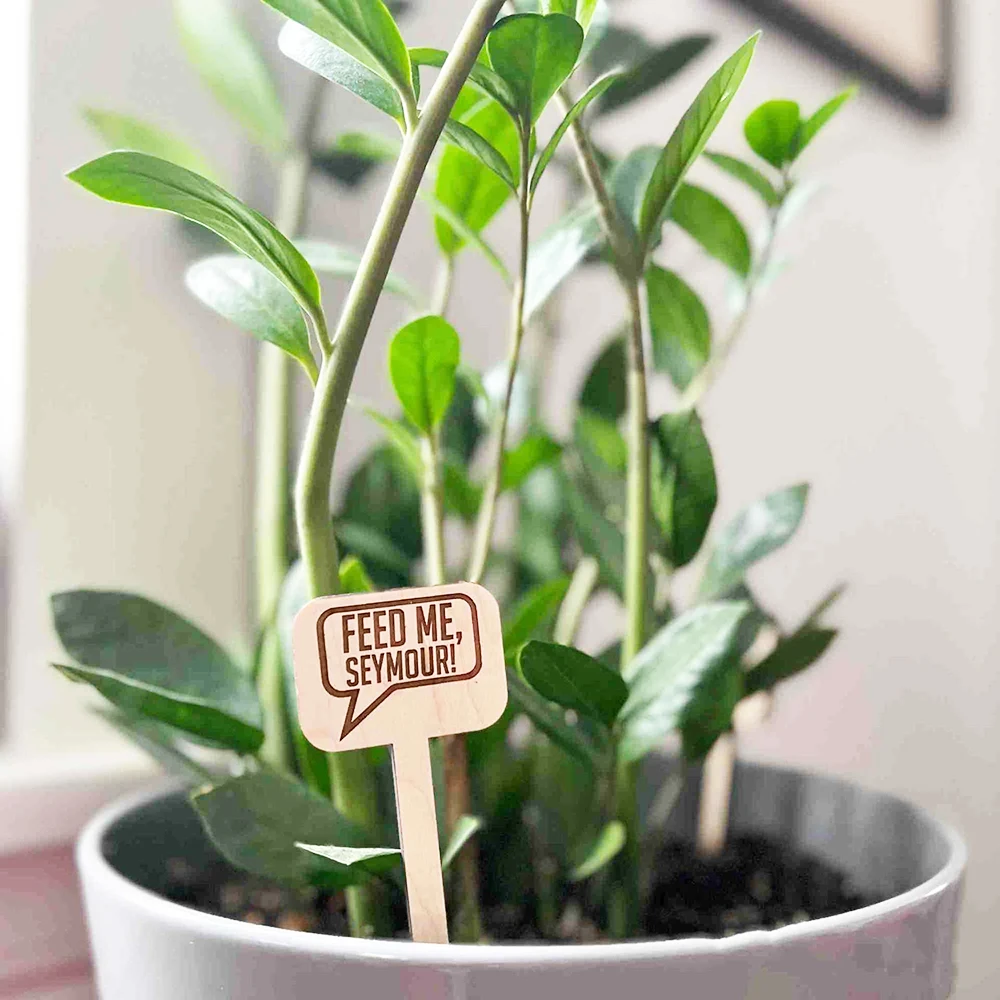 

Custom Wooden T-type Plant Tags Re-Usable Nursery Flower Pots Vegetables Herb Markers Sign Stakes Garden Classification Label