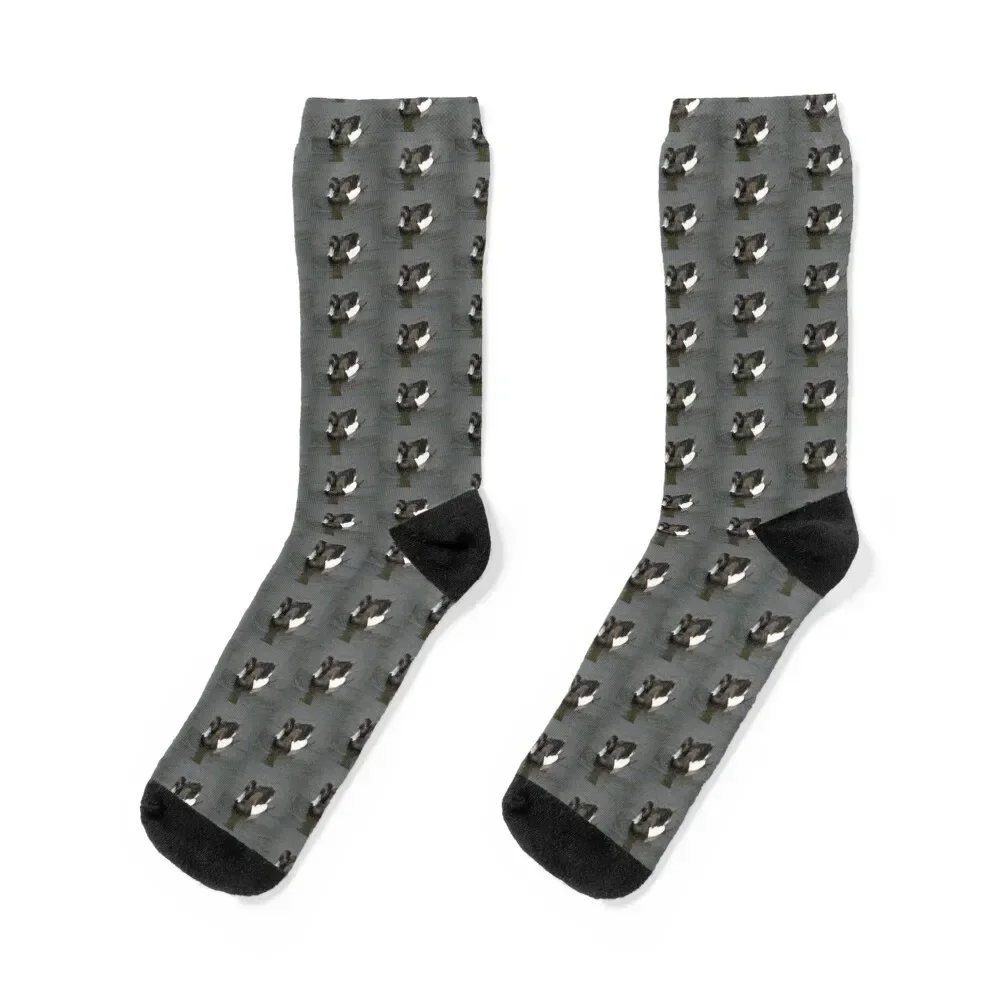 Male Tufted Duck Floating Photograph Socks gym Thermal man winter warm winter Ladies Socks Men's