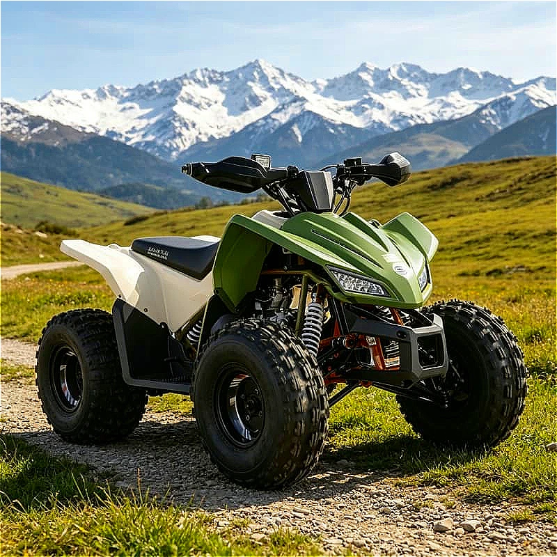 4x4 Beach Buggy 300cc Off Road Vehicle Differential Lock For Sand Dune Desert Trail Riding Customized