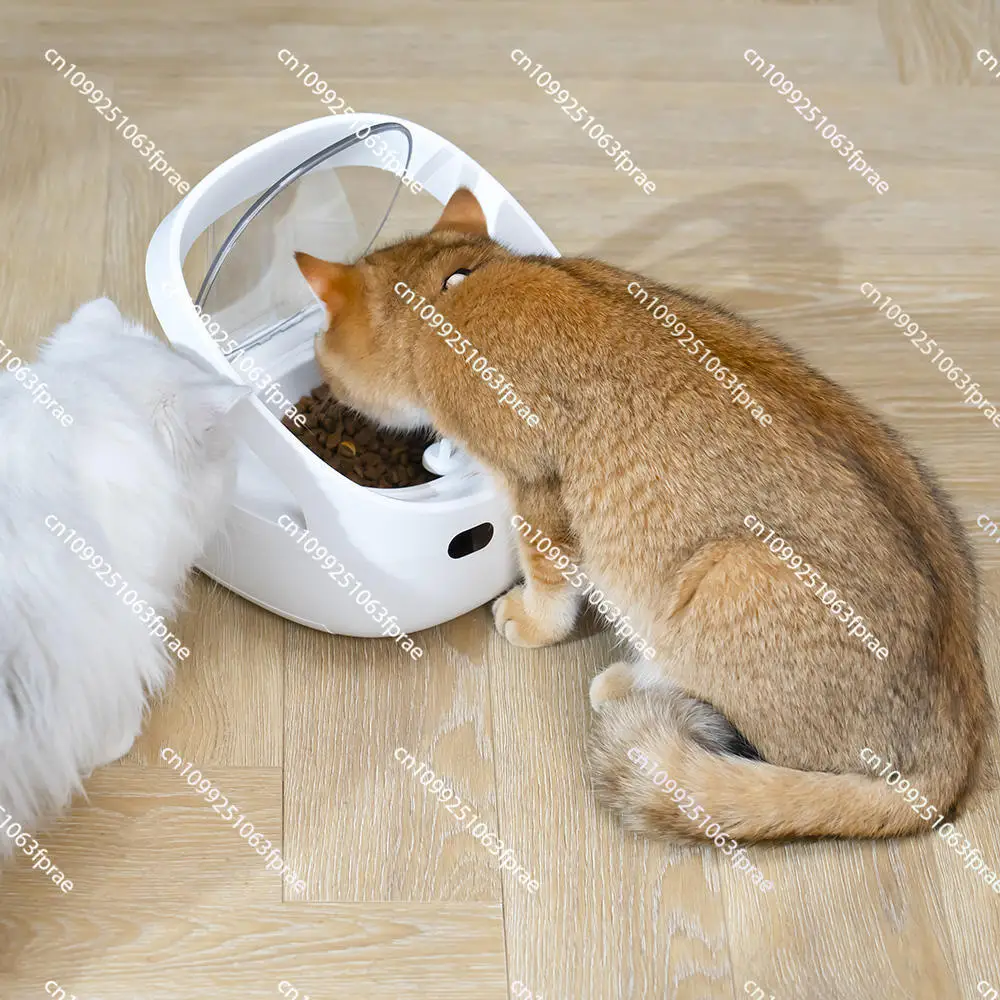 

Smart Cat Anti-snatch Feeder Automatic Chip Recognition Sensor Feeder Wi-Fi Pet Food Dispenser with App Control Accurate Serving
