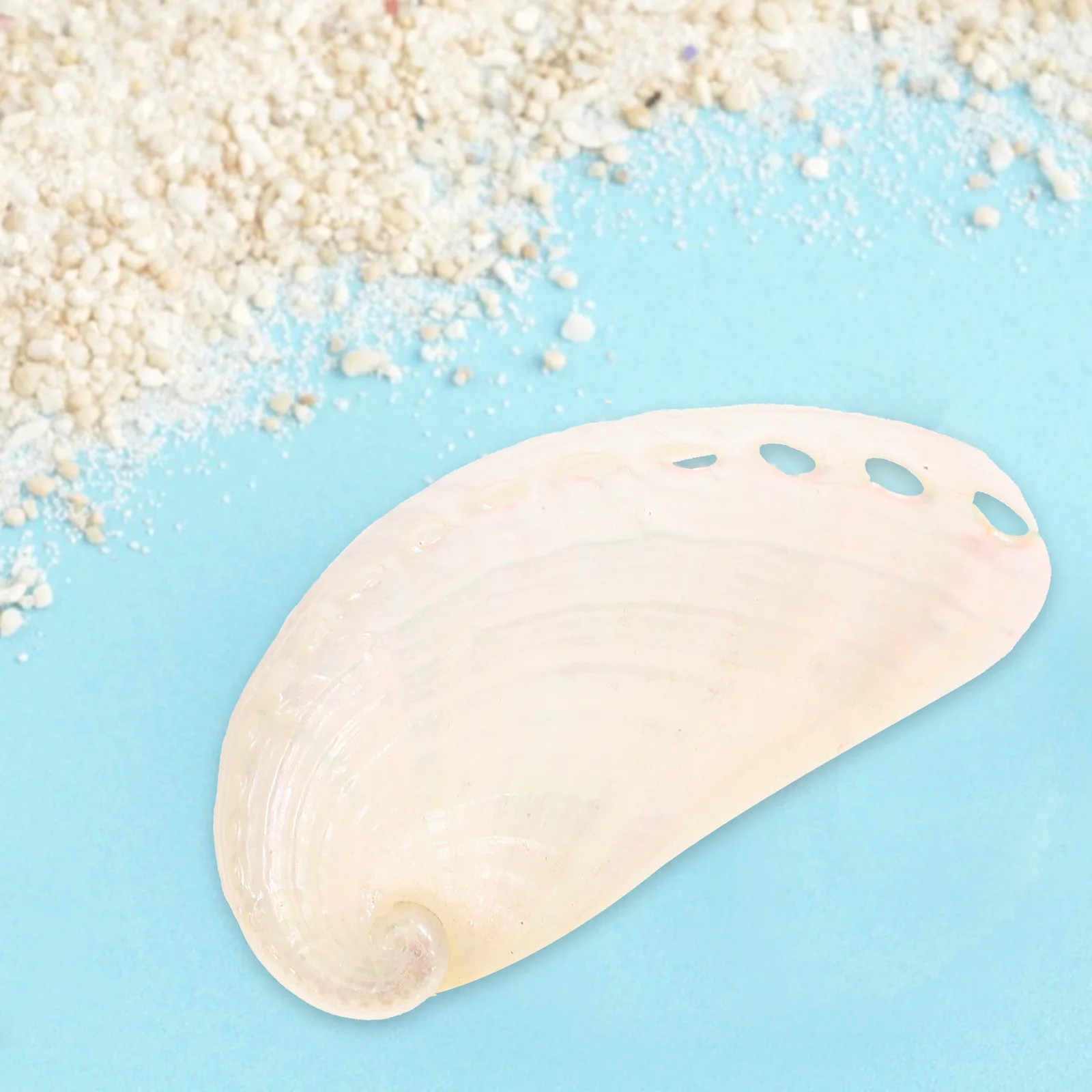

6Pcs Pearl Abalone Shell Natural Craft Wedding Decor Small Seashells Beach Style Nautical Ornament Small Seashells