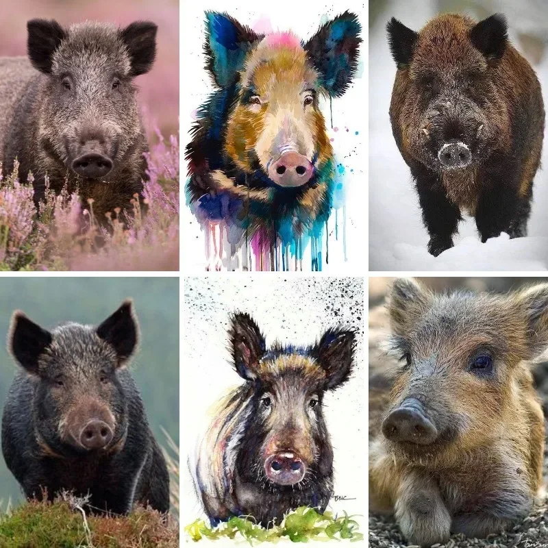 Hogs Animals Diamond Painting Wild Boar 5d Diy Diamond Art Diamond Mosaic Animals Wild Pigs Embroidery Rhinestone Picture Decor