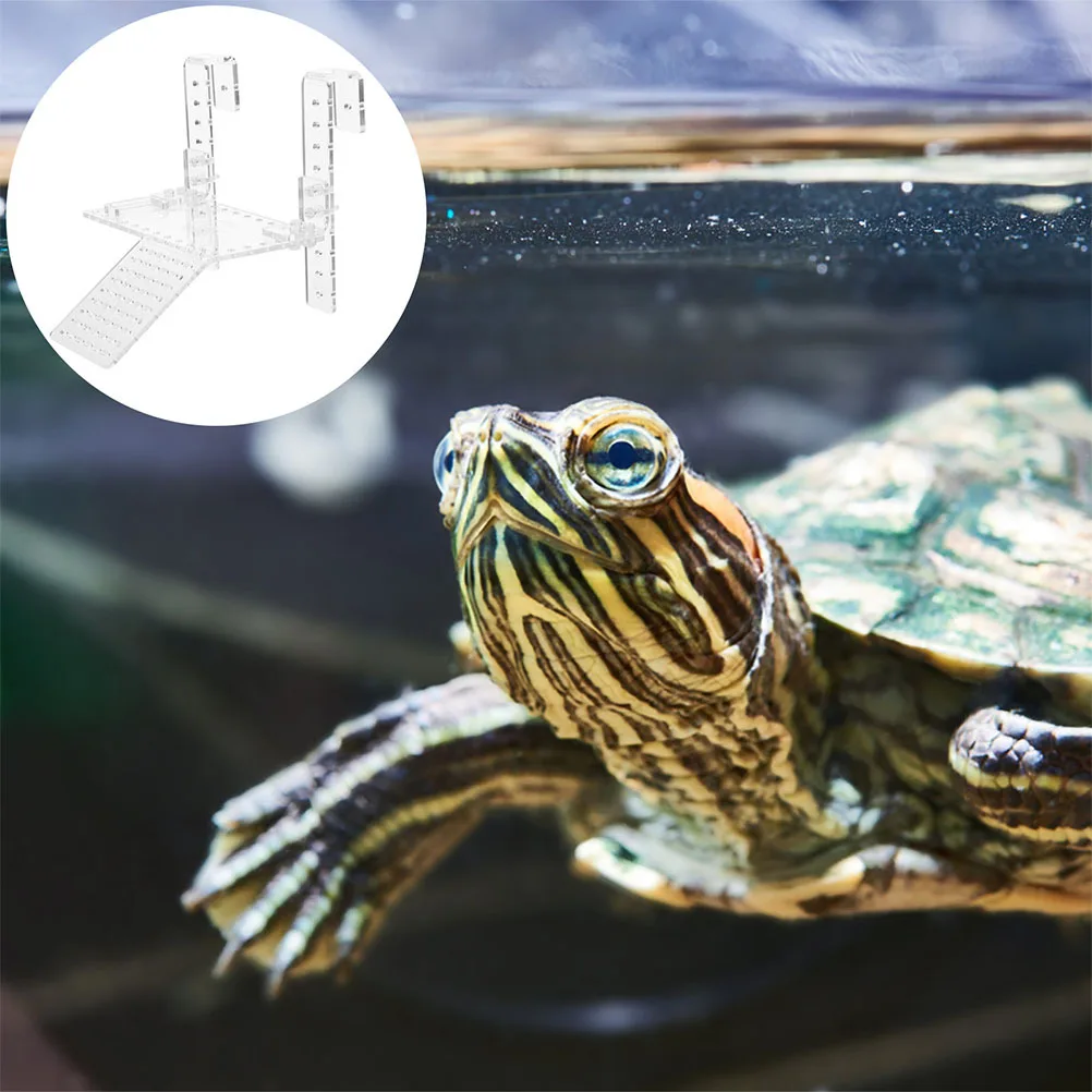 

Hanging Turtle Basking Platform Clear Acrylic Ramp for Aquatic Turtles Reptile Habitat Decorative Climbing Terrace Tank