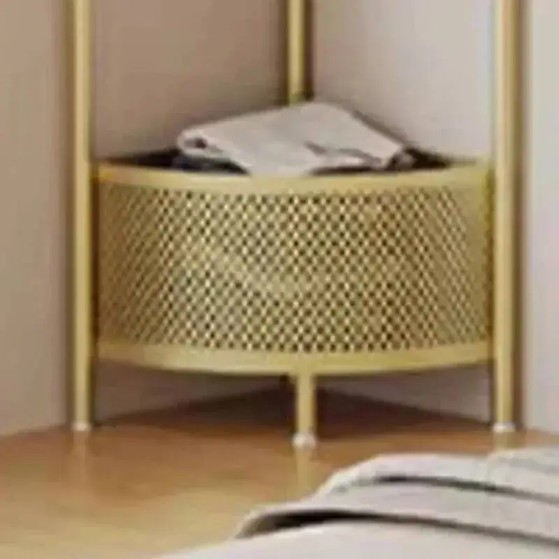 Clothes Gold Entrance Rack Nordic Hanger Hall Dresses Cabinets Clothing Rack Boutique Rail Perchero Pared Home Furniture WJ30XP