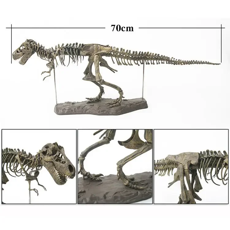 Zestaw do wykopów 4D tyranozaura Rex wykop dinozaura i zmontuj szkielet 4D starożytne zwierzę skamielina czaszka 14 lat i więcej