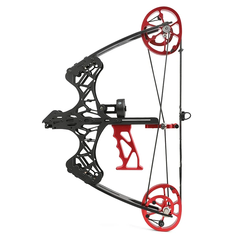 Archery Compound Bow And Arrow Outdoor Hunting Dual-use Steel Ball Bow 35-38lbs Shooting Fishing Composite Pulley Bow Set