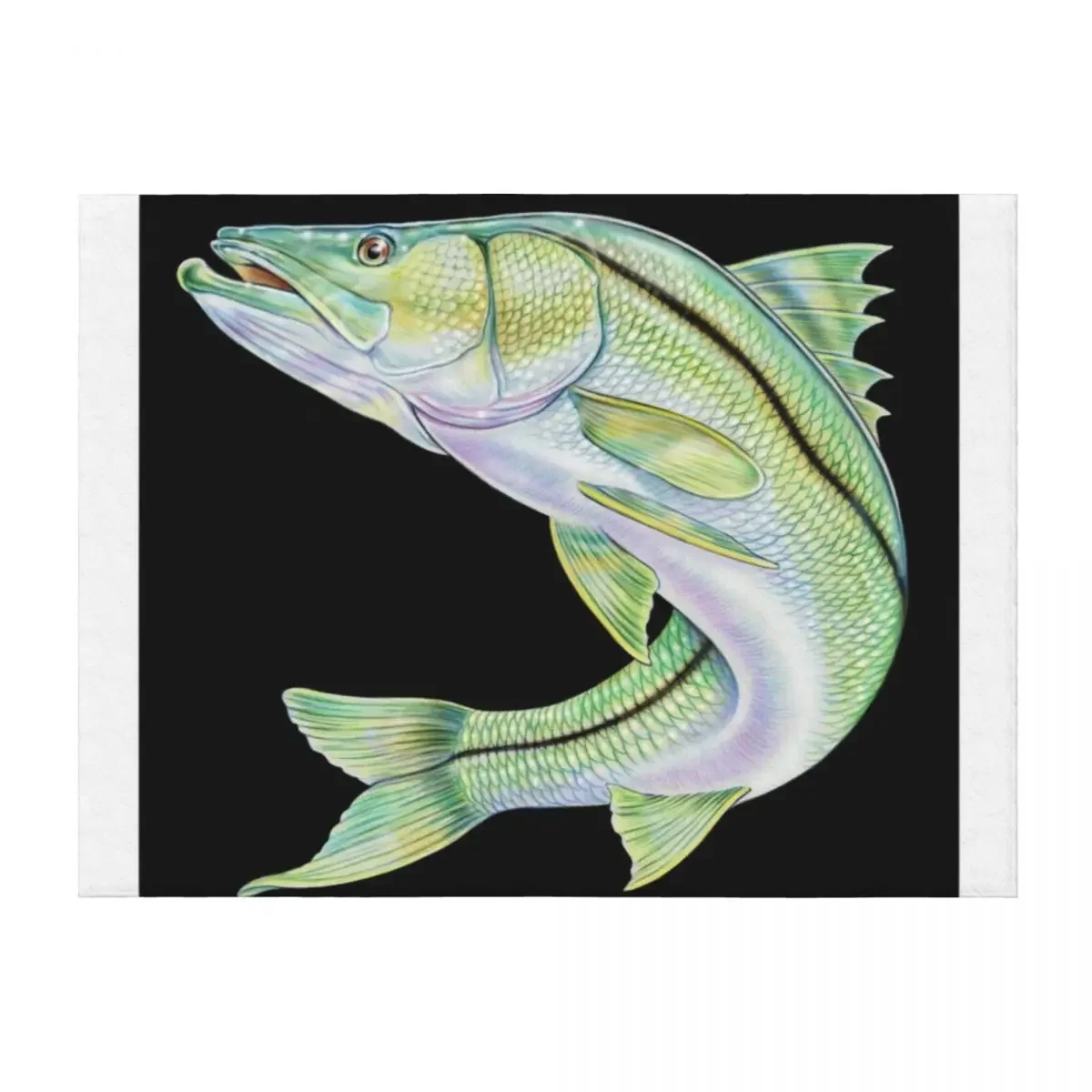 

Snook Throw Blanket For Decorative Sofa Luxury Brand for sofa Loose Blankets