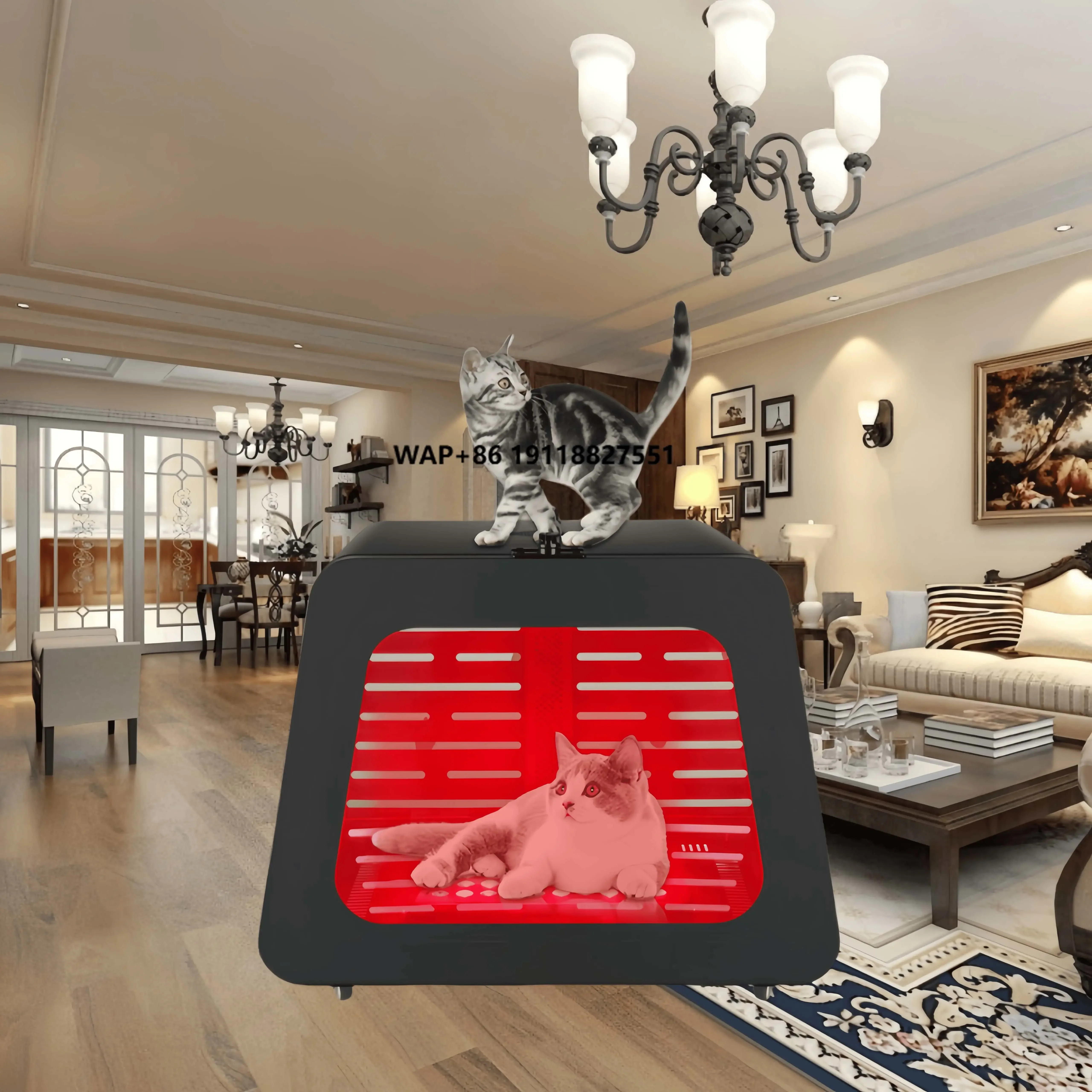 

Azure PDT Infared Dog and Cat Health Carrier Kennel OEM ODM Red Light Therapy Bed House with Breathable Pet Mats Pads