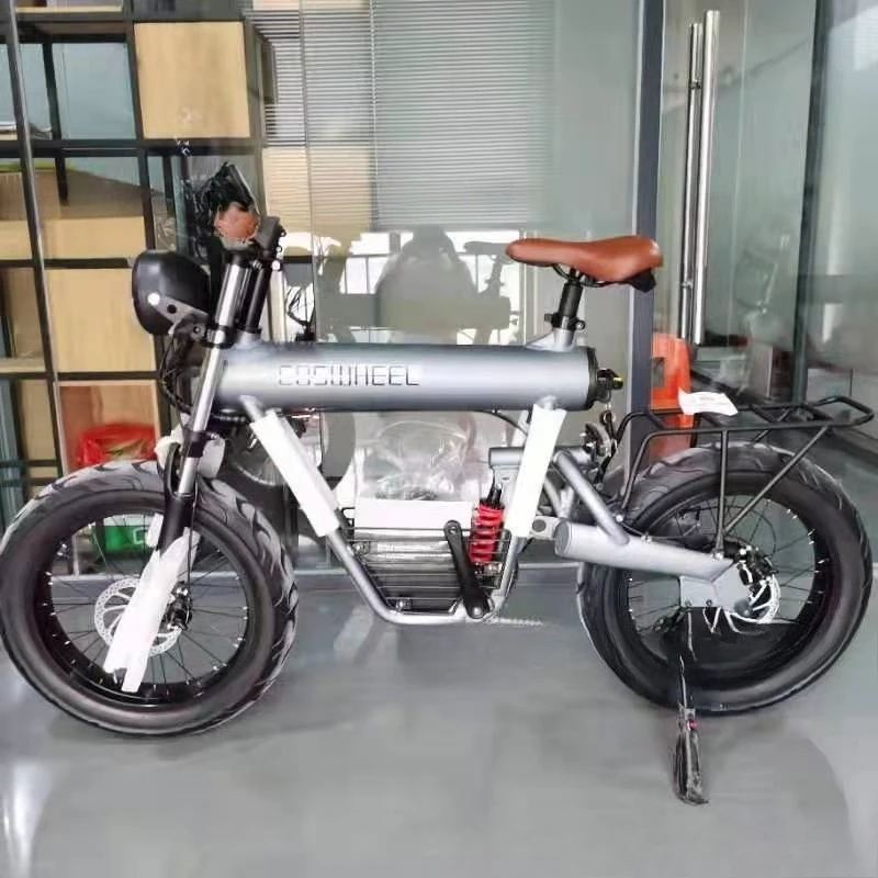 

New Style Electric Bike Mountain Tires Bicycle 1500W Motor