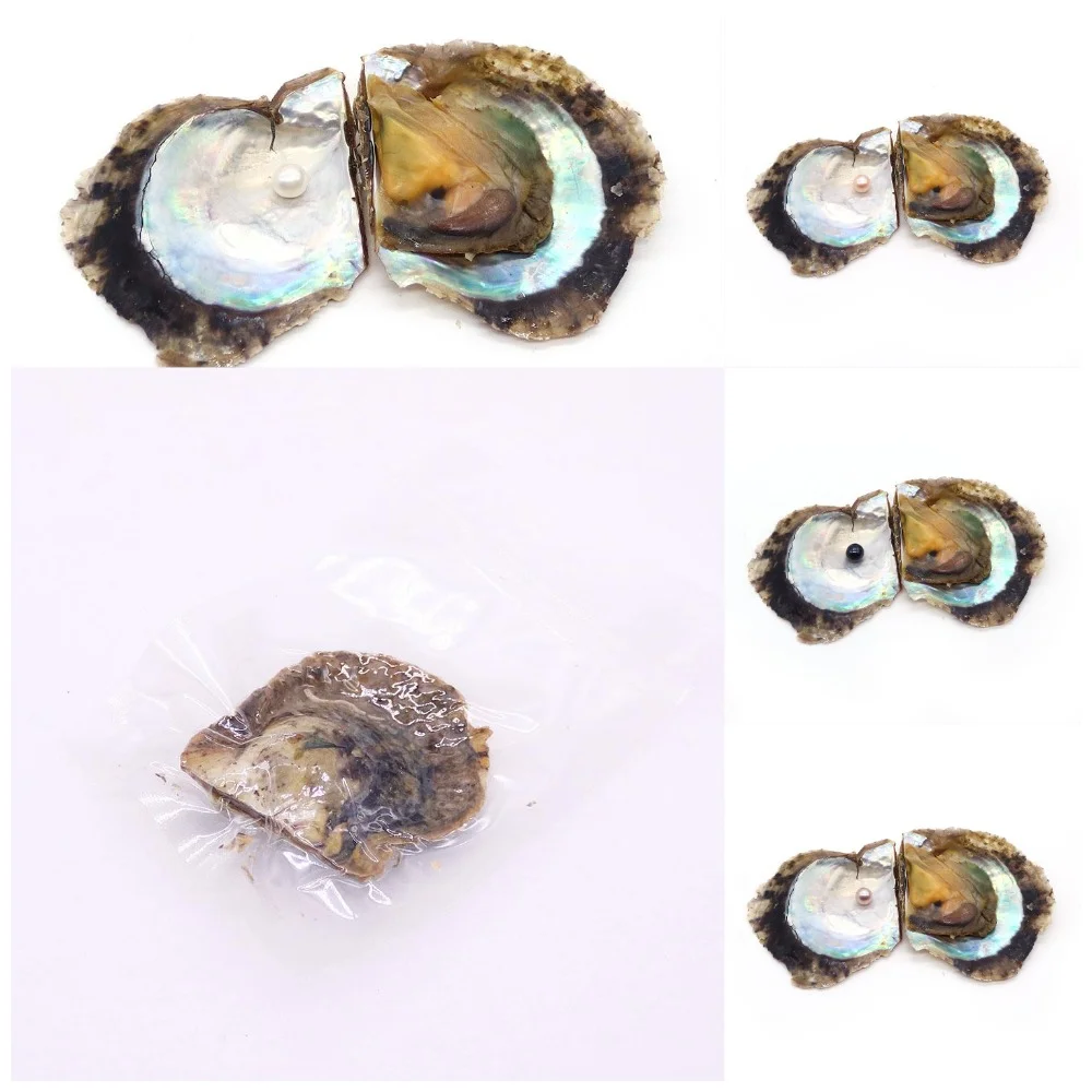 

10 Pcs/pack Natural Small Seawater Mussels with A Randomly Colored Round Pearl Bead Acceesory Handmade Necklacec Jewelry Gift