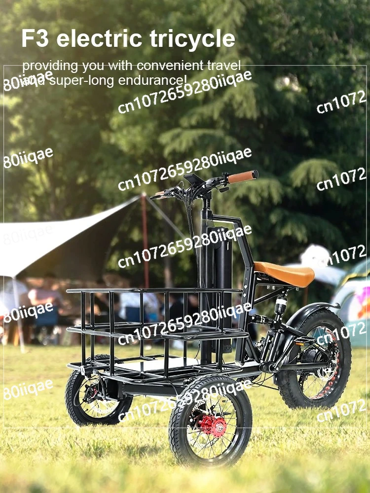 

E-bike 3 Wheel Electric Long Range Electric Front Cargo Bike 250W/350W/500W/750W Offroad Electric Tricycle