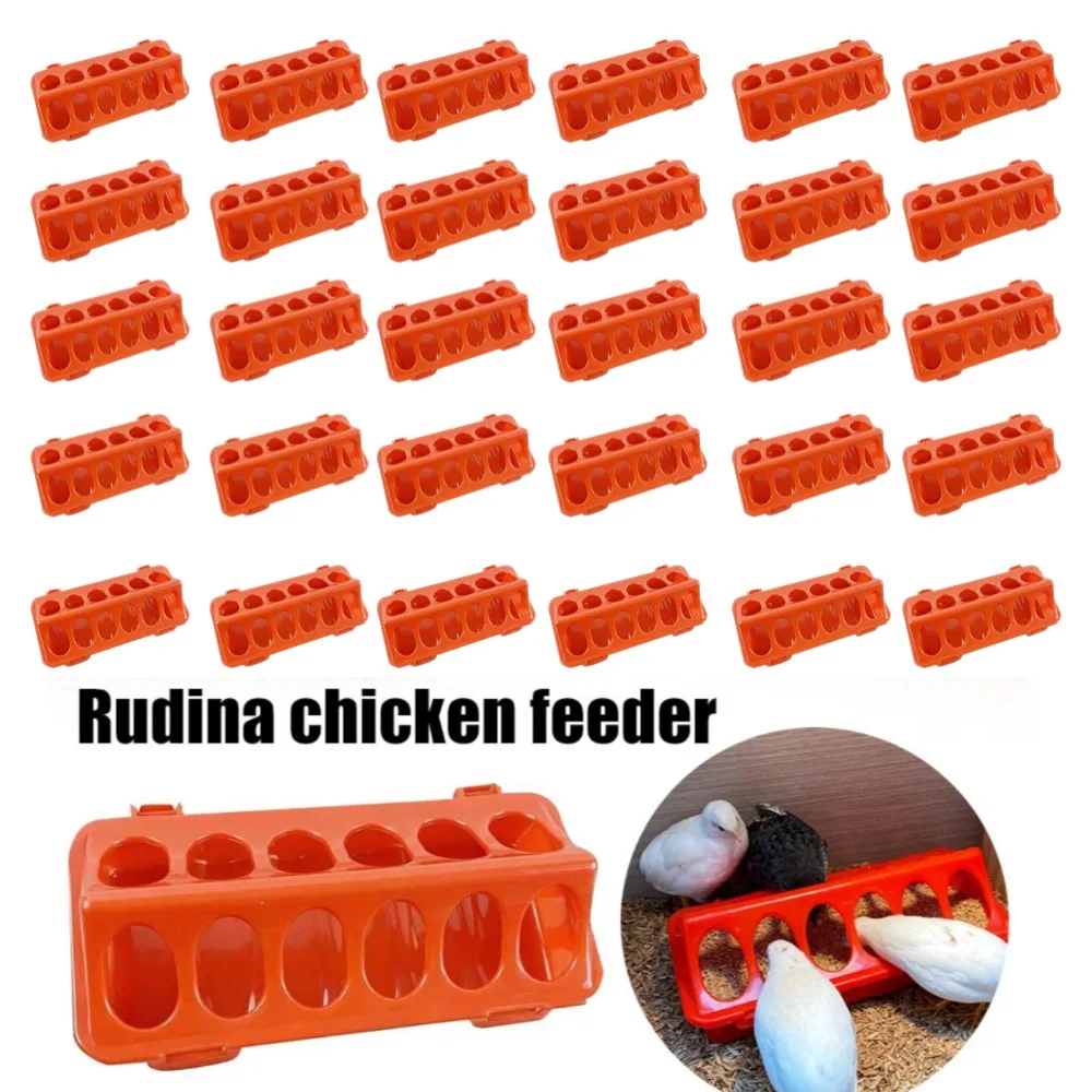 5-10-20-30-pcs-aves-engrossado-alimentador-e-agua-comida-automatica-frango-passaros-pintinho-waterer-balde-de-alimentacao-recipiente