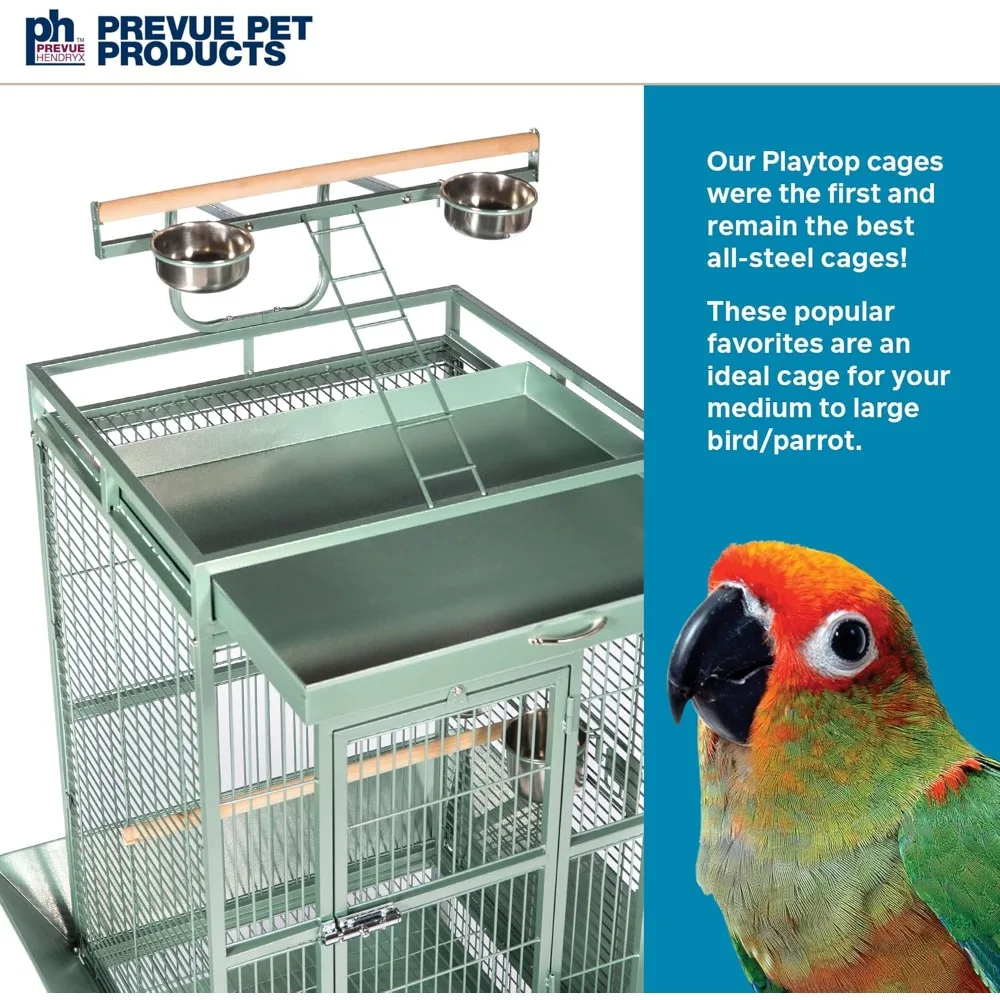 

US Shipping Large Sage Green Wrought Iron Bird Cage with Rolling Stand Playtop Seed Guards for Conures Medium Birds Durable