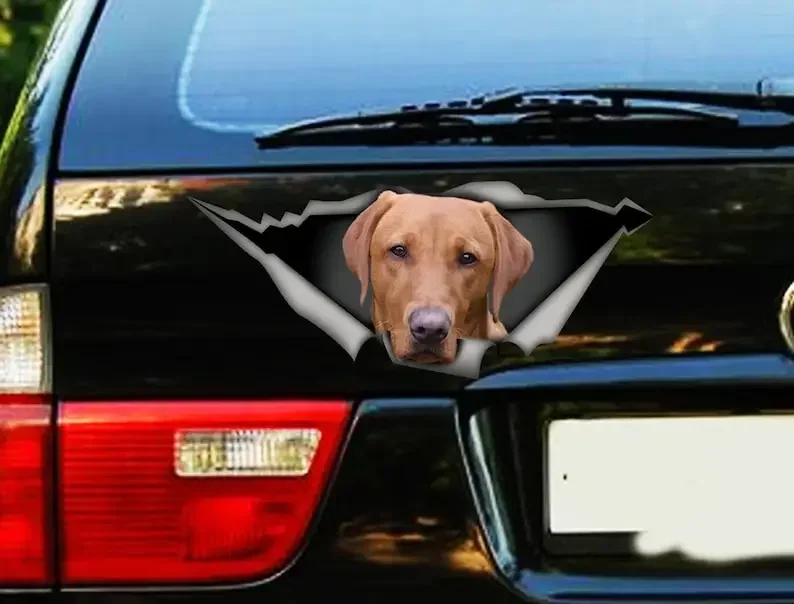 Red Labrador Decal, red labrador magnet, Pet decal Lab Decal, dog decal, red fox lab car decal