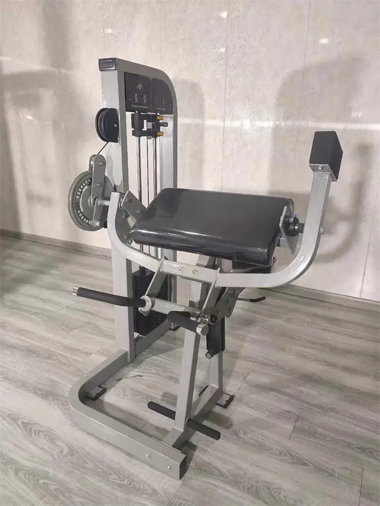 2026 Commercial Gym Equipment Strength Machine Dual Function Biceps Curl / Triceps Extension Machinepromote sales