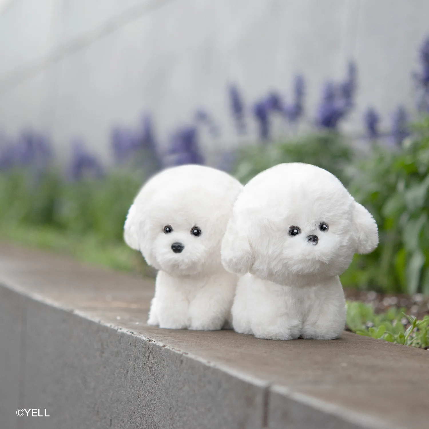 Bichon Frize de animales de peluche, peluches suaves y esponjosos, lindos, kawaii, redondos, blancos, grandes, 23cm