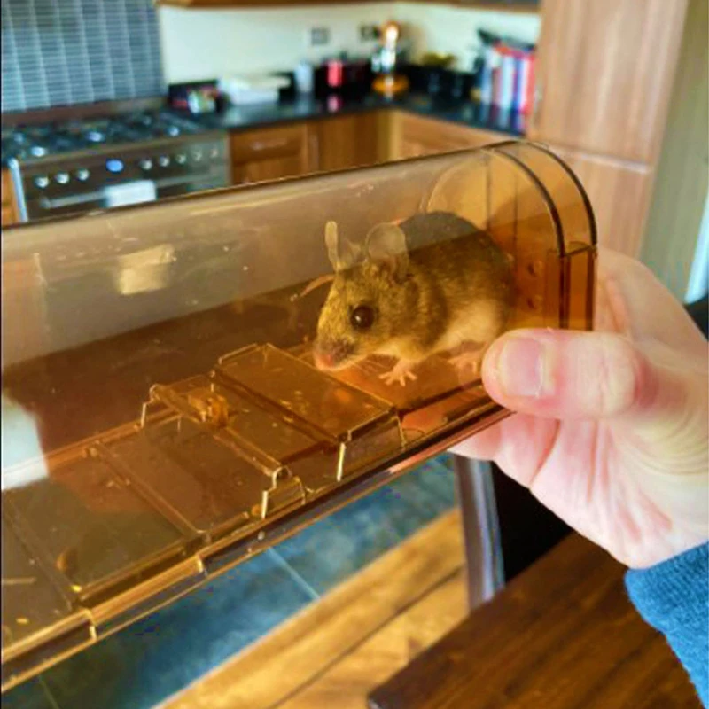 1PC High Sensitivity Plastic Mousetrap with Handle for Bedroom Kitchen Warehouse - Easy Rat Catching Warehouse Mousetrap