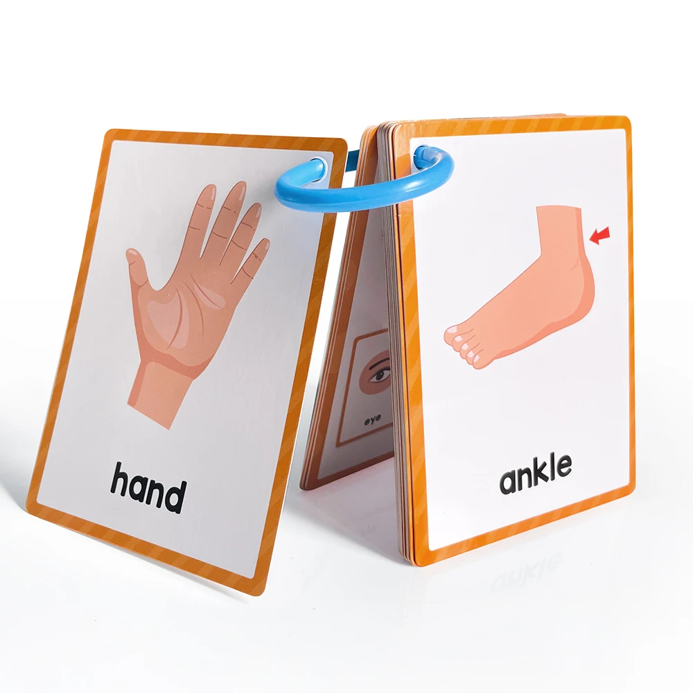 Body Parts Cognitive Flashcards Montessori Learn English Words Card Picture Memorise Educational Toys Gifts for Children