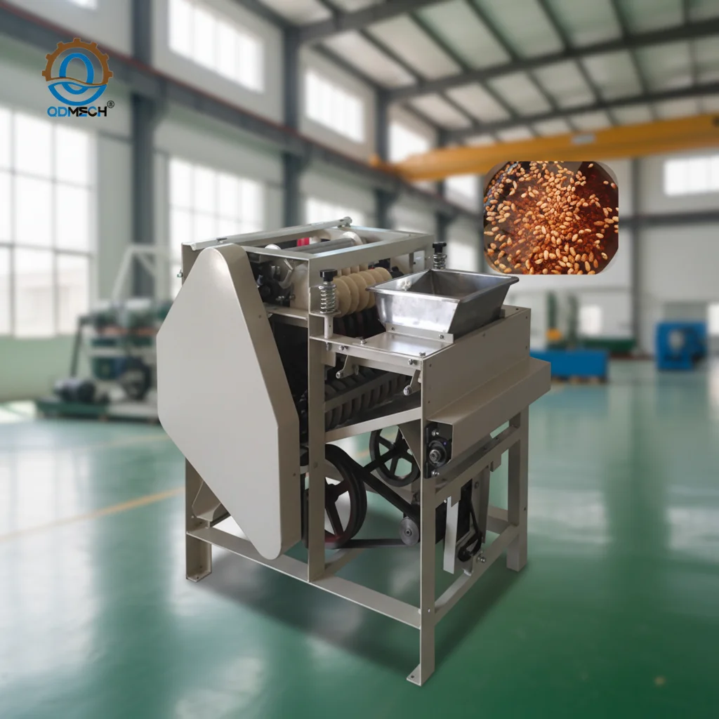 HN QDMECH High Peeling Rate Stainless Steel Soybean Broad Bean Wet Peeling Machine Peanut Peeler For Almond Processing Plant