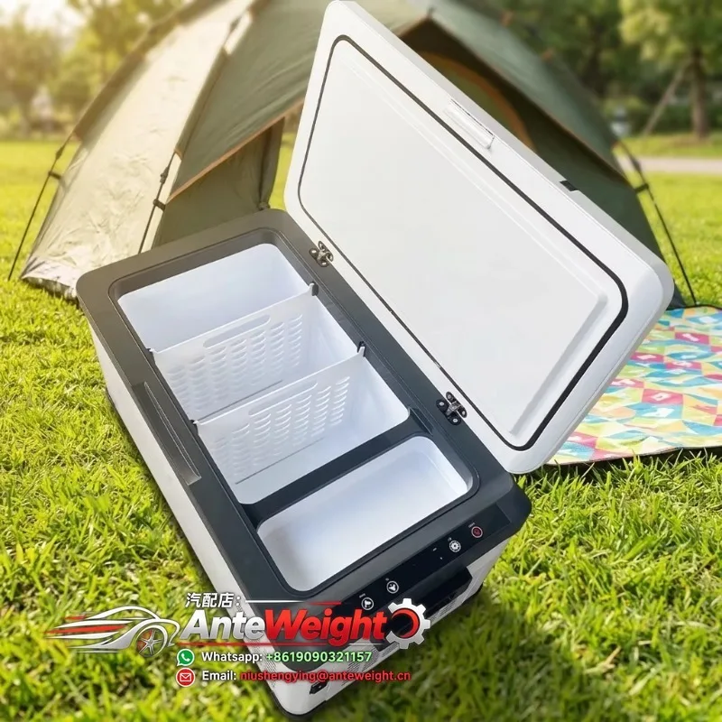Truck-Mounted Plastic Refrigerator  Large Capacity Compressor-Powered Separate Cooling Freezing Compartments 12V/24V/220V
