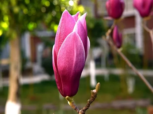 

Aluminium Alloy Super Heavy 1.9" Beadlock Deep Dish Wheel Rim for 1/10 RC Crawler SCX10 TRX4 VS4-10 Gen8 R187