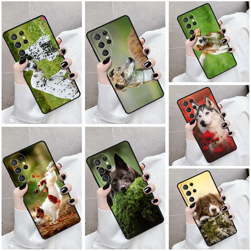 เคสโทรศัพท์สำหรับ Samsung Galaxy S24 S22 S21fe S23อัลตร้าพลัส Note 10 20 S8 S9 S10สุนัขสัตว์เลี้ยง