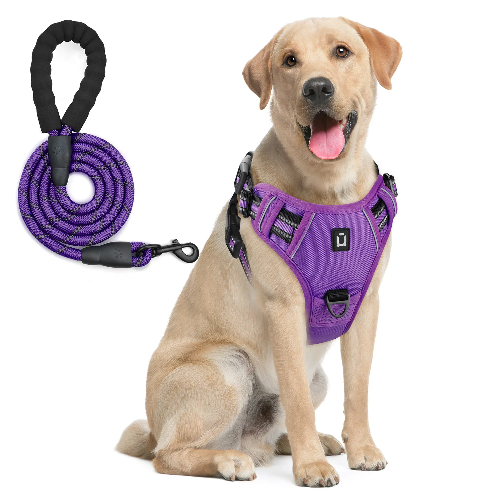 Reflective Dog Harness And Leash Set, Escape Proof No Pull Vest_voghion.com