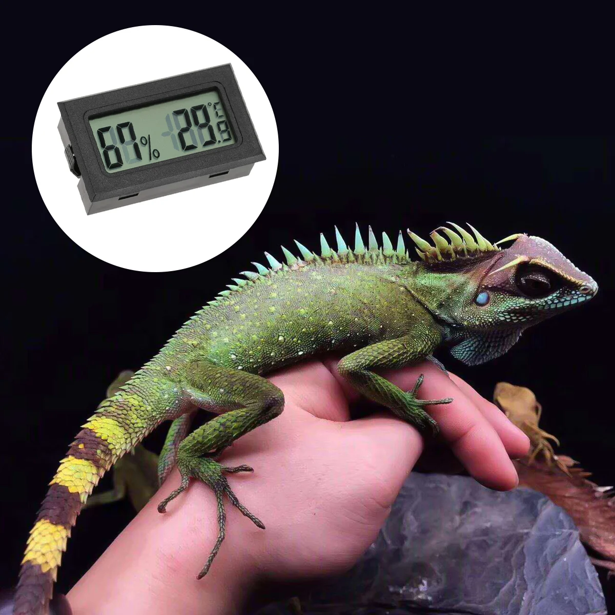 Indoor Humidity Meter Digital Hygroscope Reptile Thermometer Hygrometer Electronic